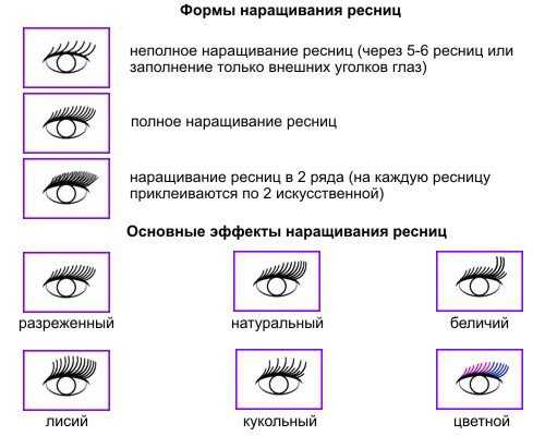 Фото нарощенных ресниц всех видов и форм с названиями